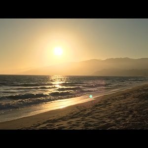 Meet your Posher, Edna